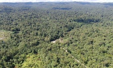 VENTA HACIENDA CON BOSQUE PRIMARIO DENSO ESMERALDAS - SAN LORENZO SECTOR LA CAROLINA  6.586HA $4'500.000 DÓLARES
