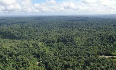 VENTA HACIENDA CON BOSQUE PRIMARIO DENSO ESMERALDAS - SAN LORENZO SECTOR LA CAROLINA  6.586HA $4'500.000 DÓLARES