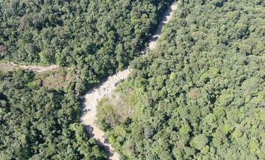 VENTA HACIENDA CON BOSQUE PRIMARIO DENSO ESMERALDAS - SAN LORENZO SECTOR LA CAROLINA  6.586HA $4'500.000 DÓLARES