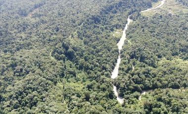 VENTA HACIENDA CON BOSQUE PRIMARIO DENSO ESMERALDAS - SAN LORENZO SECTOR LA CAROLINA  6.586HA $4'500.000 DÓLARES
