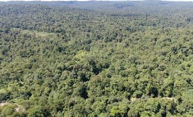 VENTA HACIENDA CON BOSQUE PRIMARIO DENSO ESMERALDAS - SAN LORENZO SECTOR LA CAROLINA  6.586HA $4'500.000 DÓLARES