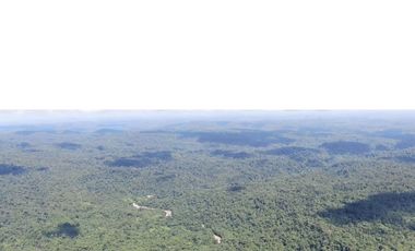 VENTA HACIENDA CON BOSQUE PRIMARIO DENSO ESMERALDAS - SAN LORENZO SECTOR LA CAROLINA  6.586HA $4'500.000 DÓLARES