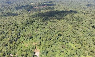 VENTA HACIENDA CON BOSQUE PRIMARIO DENSO ESMERALDAS - SAN LORENZO SECTOR LA CAROLINA  6.586HA $4'500.000 DÓLARES