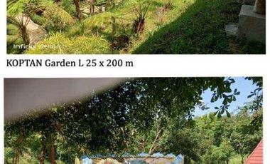 JUAL CEPAT  TAMAN WISATA AKTIF di desa Sendang Tulungagung Jatim