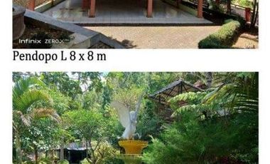 JUAL CEPAT  TAMAN WISATA AKTIF di desa Sendang Tulungagung Jatim