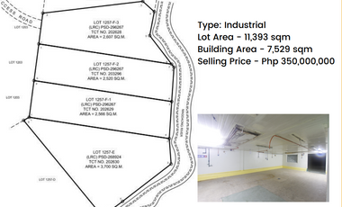 Muntinlupa Industrial Property (Former Chowking Commissary)