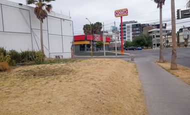 Unico terreno en esquina y en renta, zona San Telmo