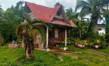 LOT FOR SALE WITH 2 HOUSES AT ANISLAG, CORELLA, BOHOL