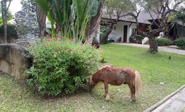 Lakefront 3 Bedroom Lanna Style House in Lamphun