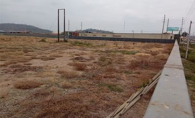 Alquiler de terreno - Sector Petrillo km. 30