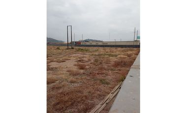 Alquiler de terreno - Sector Petrillo km. 30