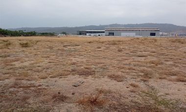 Alquiler de terreno - Sector Petrillo km. 30