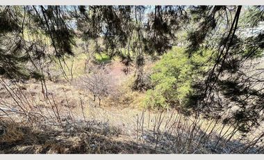 TERRENO EN FRACCIONAMIENTO LAS CAÑADAS