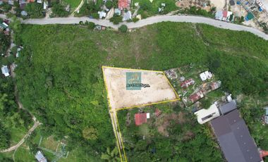 Prime Commercial Lot for Sale in Sta. Cruz, Liloan, Cebu - Your Business Opportunity Beckons!