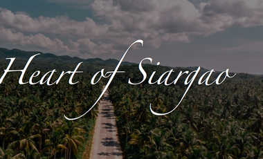 5 Hectares lot for Sale at Siargao
