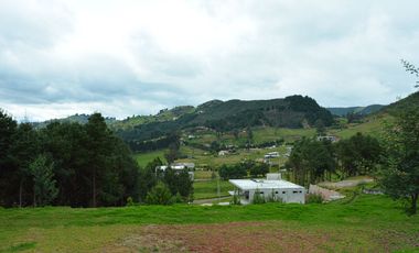 Lujosa Casa de 4 Dormitorios con Amplia Area Verde en Exclusiva Urbanización El Álamo