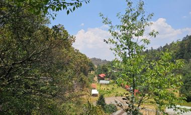 VENTA DE TERRENO EN CASAS BLANCAS, MINERAL DEL CHICO TOTALMENTE BOSQUE