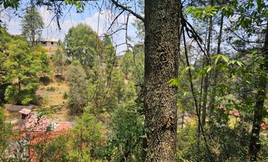 VENTA DE TERRENO EN CASAS BLANCAS, MINERAL DEL CHICO TOTALMENTE BOSQUE