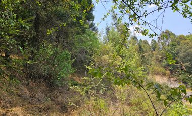 VENTA DE TERRENO EN CASAS BLANCAS, MINERAL DEL CHICO TOTALMENTE BOSQUE