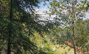 VENTA DE TERRENO EN CASAS BLANCAS, MINERAL DEL CHICO TOTALMENTE BOSQUE