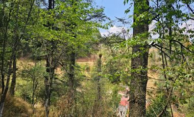 VENTA DE TERRENO EN CASAS BLANCAS, MINERAL DEL CHICO TOTALMENTE BOSQUE