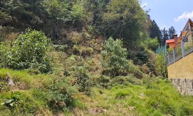 VENTA DE TERRENO EN CASAS BLANCAS, MINERAL DEL CHICO TOTALMENTE BOSQUE