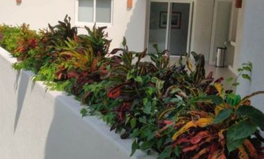 R306 Residencia nueva en Venta 5 recámaras  Ixtapa Campo de Golf