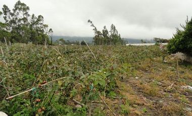 Terreno de venta en Atuntaqui sector San Ignacio, 3528 m2