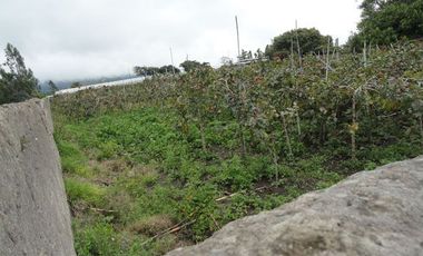 Terreno de venta en Atuntaqui sector San Ignacio, 3528 m2