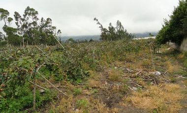 Terreno de venta en Atuntaqui sector San Ignacio, 3528 m2