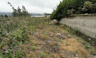 Terreno de venta en Atuntaqui sector San Ignacio, 3528 m2