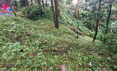 For Sale! Residential Lot in an Exclusive Subdivision near Mansion House Baguio City