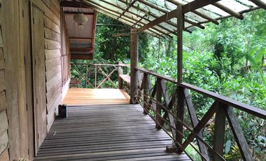 Jungle Hideaway Home For Sale