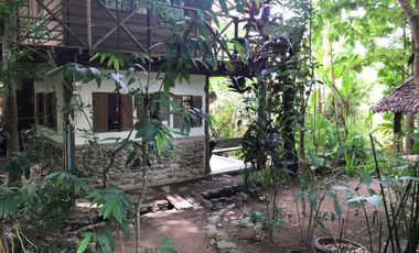 Jungle Hideaway Home For Sale