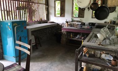 Jungle Hideaway Home For Sale