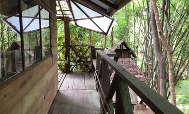 Jungle Hideaway Home For Sale