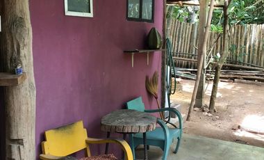 Jungle Hideaway Home For Sale
