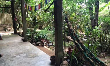 Jungle Hideaway Home For Sale