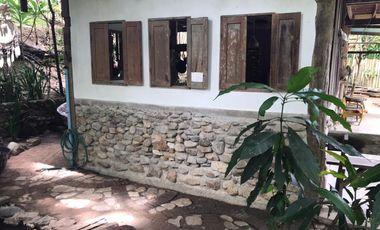 Jungle Hideaway Home For Sale