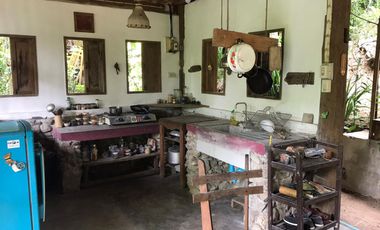 Jungle Hideaway Home For Sale