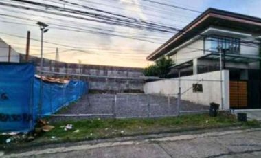 For Sale: Vacant Lot in North Susana Executive Village, Quezon City