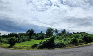 1,097 sqm Lot for Sale at Tagaytay Highlands