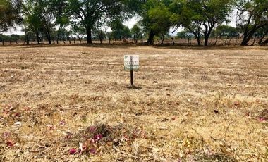 VENTA TERRENOS FRACCIONAMIENTO TRES REYES DE CAJITITLAN