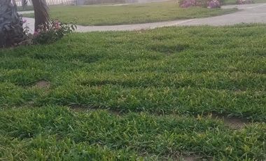 LINDAS CASAS EN VENTA EN ACAPULCO