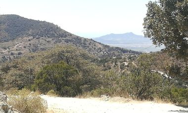 TERRENO EN VENTA “ESTANZUELA -MINERAL DEL CHICO”