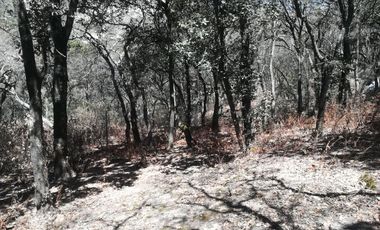 TERRENO EN VENTA “ESTANZUELA -MINERAL DEL CHICO”