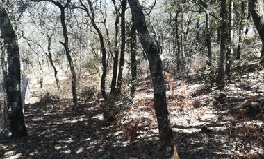 TERRENO EN VENTA “ESTANZUELA -MINERAL DEL CHICO”