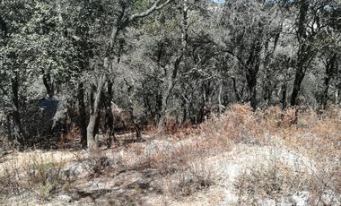 TERRENO EN VENTA “ESTANZUELA -MINERAL DEL CHICO”