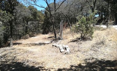 TERRENO EN VENTA “ESTANZUELA -MINERAL DEL CHICO”