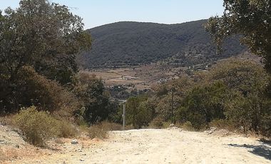 TERRENO EN VENTA “ESTANZUELA -MINERAL DEL CHICO”